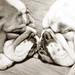 Marcy Ray Photo 24