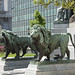 Joseph Simonis Photo 12