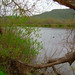 Barbara Lake Photo 20