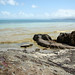 Kimberley Small Photo 22