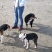 Melissa Curby Photo 14