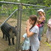 Connie Holton Photo 10