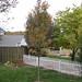 Anthony Maples Photo 16