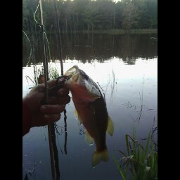 Marshall Mcreynolds Photo 2