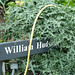 William Hudson Photo 44