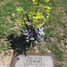 Evan Stewart Photo 18