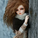 Marcia Winters Photo 16