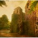 Henry Abbot Photo 6
