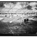George Allison Photo 31
