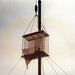 David Blane Photo 29