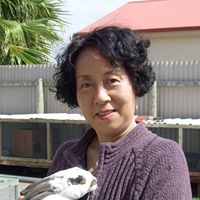Julia Woo Photo 11