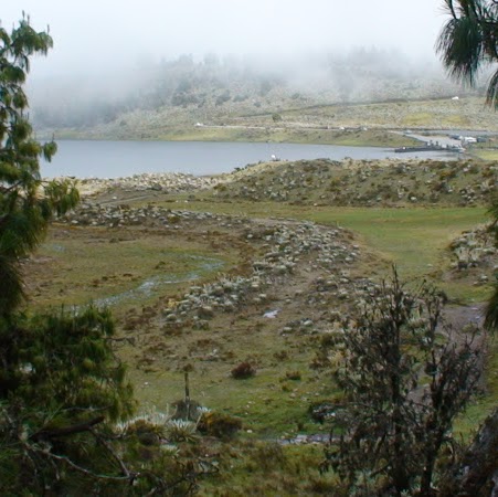 Maribel Barreto Photo 18