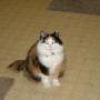 Amy Sherrill Photo 32