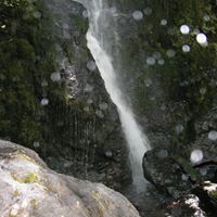 Fran Kerr Photo 3