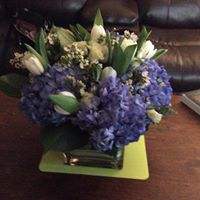Anne Mcgrath Photo 9