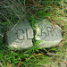Lucinda Clark Photo 18
