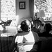 Nancy Anderson Photo 35
