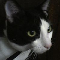 Edward Meunier Photo 5