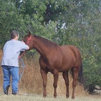 Karen Tripp Photo 8