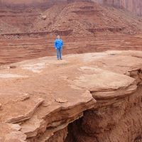Vicki Ingram Photo 26