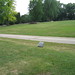 Elizabeth Fuhrman Photo 16