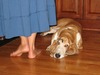 Jane Beasley Photo 3