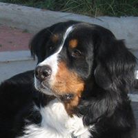 Sara Hager Photo 9
