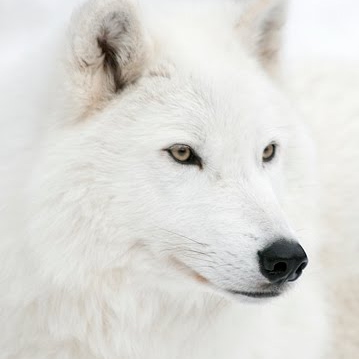 Steven Hempel Photo 8