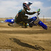 Lance Stewart Photo 24