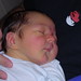 Julian Nicholas Photo 13