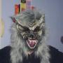 Raymond Lau Photo 14