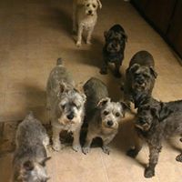 Kathy Bussell Photo 4
