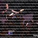 David Petruska Photo 19