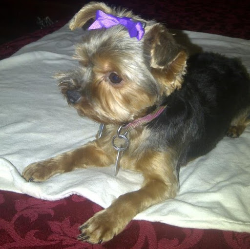 Ann Shockley Photo 7