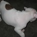 Gloria Bailey Photo 32