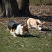 Leo Riley Photo 29