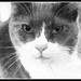 Freda White Photo 10