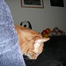 James Coon Photo 33