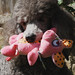 Danette Biggs Photo 2