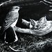 Jackie Winter Photo 9