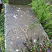Mary Nutter Photo 19