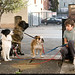 Jeff Shuler Photo 10