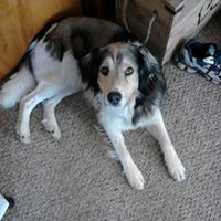 Kathleen Moser Photo 25