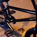 Sean Sexton Photo 21