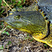 Jim Shell Photo 21