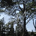 Rickey Long Photo 17
