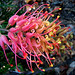 Robyn Gordon Photo 30