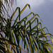 Terrie Storm Photo 5