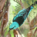Richard Comstock Photo 24
