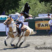 Michelle Driscoll Photo 30